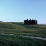 Viisi syytä rakastua Toscanaan