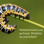 Aaro Löf: Toukasta perhoseksi – ihmisenä kasvamisen tärkein edellytys
