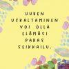 Ylioppilas - onnea