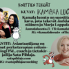 Angstin purku -kortit - Image 17