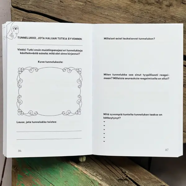 Tutustu tunnelukkoihin - Image 4