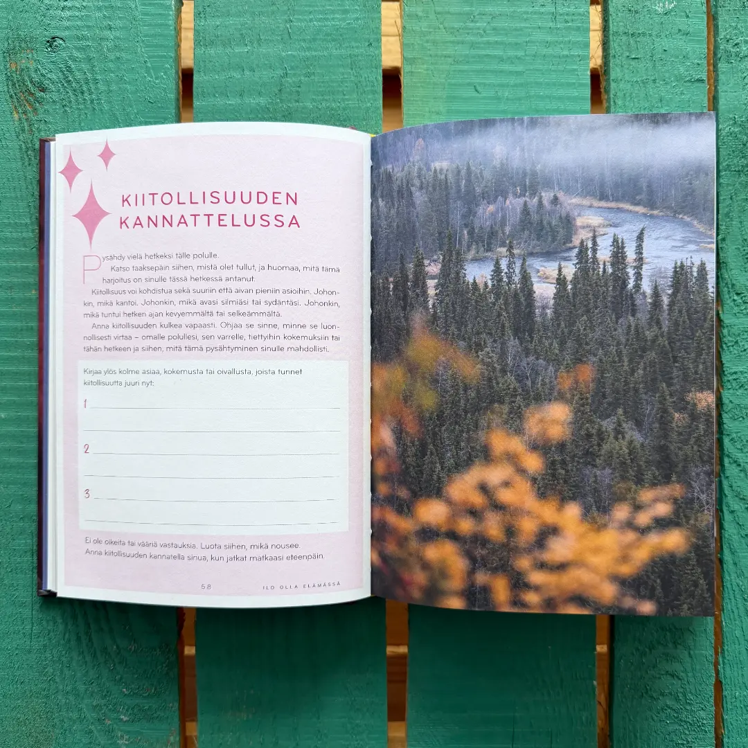 Ilo olla! Työkirja - Image 3